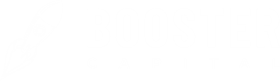 Booster Capital Logo
